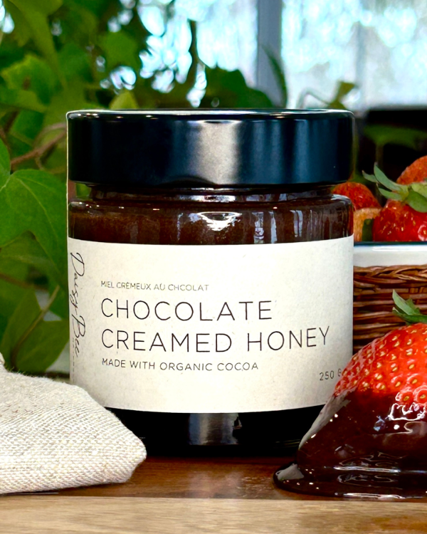 Chocolate Creamed Honey