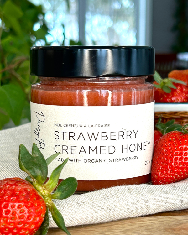 Strawberry Creamed Honey - Image 2
